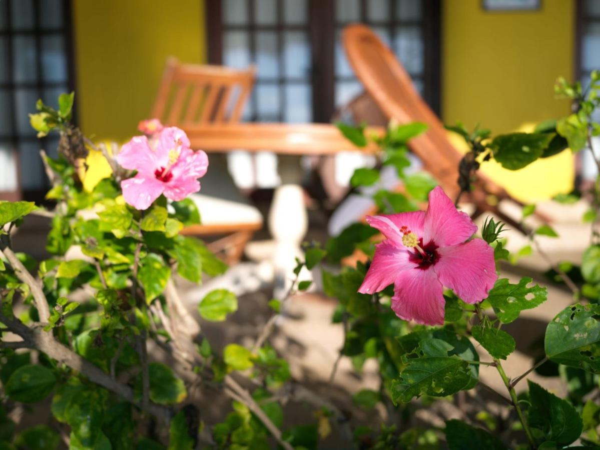 Las Flores Beachside Hotel Catmon Exterior photo